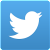 Twitter logo Image